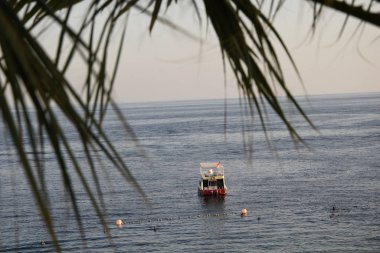 Denizde kayık Palmiye yaprağını at