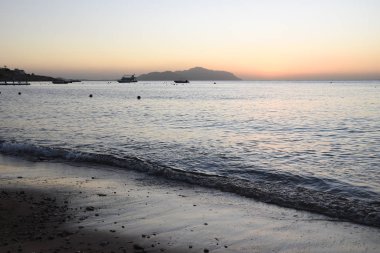 dalgalar plaj denizi yaz