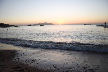 dalgalar plaj denizi yaz