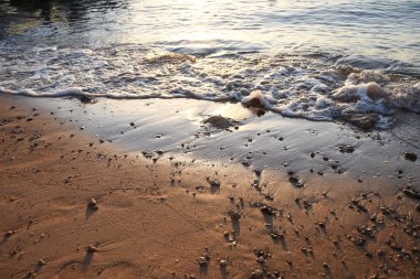 dalgalar plaj denizi yaz