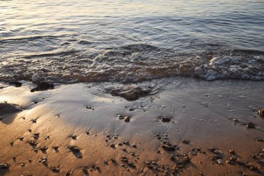 dalgalar plaj denizi yaz