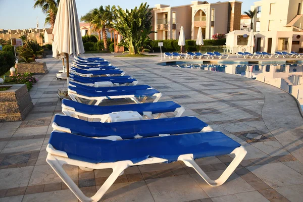 Yüzme havuzu tatil salonu şemsiyeli otel