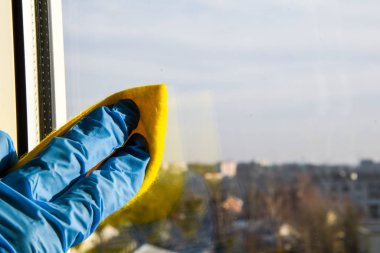 Çalışan el, tozdan mikro fiber bez silen lastik koruyucu eldiven giymiş. Ticari temizlik şirketi konsepti Erken bahar temizliği veya düzenli temizlik.