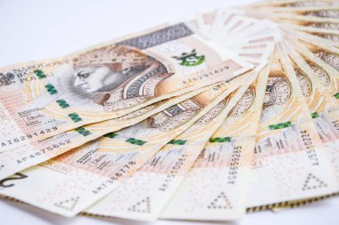 Polonya parası, beyaz arka planda Polonya parası, yüz iki yüz Polonya parası.