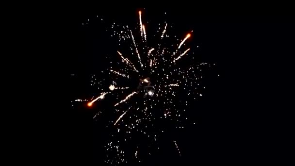 Несколько Красочных Фейерверков Ночном Небе Новогодний Салют Фестиваль Пиротехники — стоковое видео
