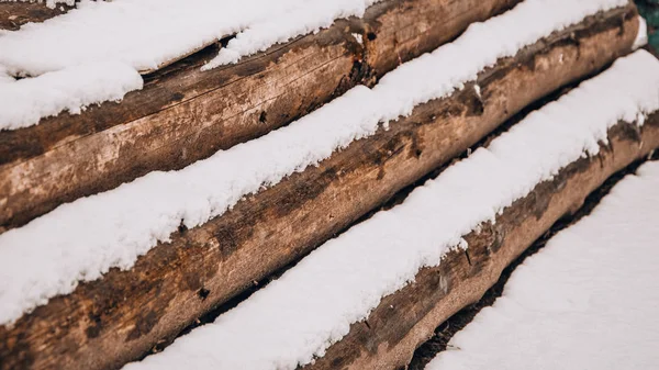 Kereste deposunun dalları ve çimin üzerindeki kütükler kesilmeyi bekliyor ilk karın altında. — Stok fotoğraf
