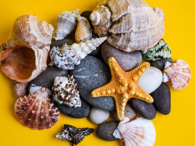 Denizcilik, Marrine konsepti. Fotokopi uzayı olan sarı arkaplana karşı deniz yıldızı. Çakıl taşları üzerinde deniz yıldızı yaz dokusu açısı görünümü