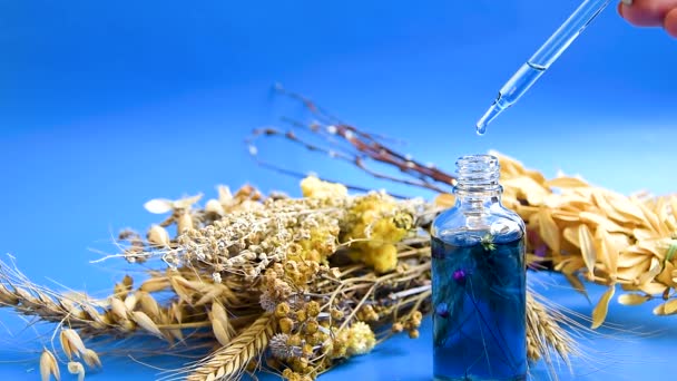 Dropper glass Bottle Mock-Up in female hands on blue background with dry flowers. Oily drop falls from cosmetic pipette, — Stok video