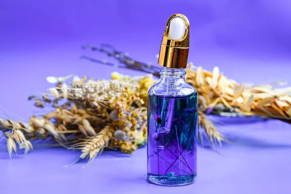 Glazen Druppelaar Met Een Druppel Cosmetische Olie Gedroogde Bloemen Blauwe — Stockfoto