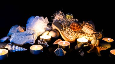 Spa, eko konsepti, sıfır atık, organik ürünler, tahtadan yapılmış doğal fırçalar, taşlar, mumlar, spa tedavisinin bileşimi, seçici odaklanma