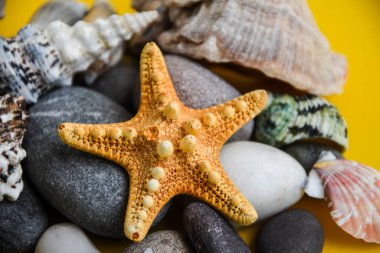 Denizcilik, Marrine konsepti. Fotokopi uzayı olan sarı arkaplana karşı deniz yıldızı. Çakıl taşları üzerinde deniz yıldızı yaz dokusu açısı görünümü