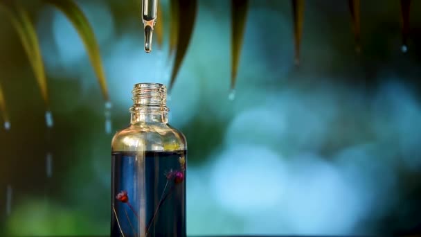 Dropper Glass Bottle Mock Female Hands Nature Background Dry Flowers — Stock Video