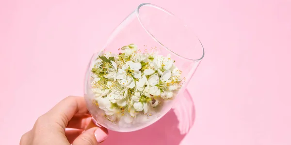 Conceito Humor Primavera Mão Feminina Segurando Flores Brancas Vidro Transparente — Fotografia de Stock