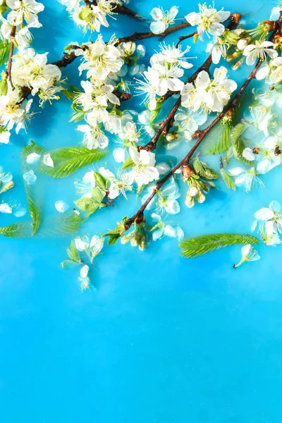 Delicati Fiori Bianchi Rosa Con Foglie Verdi Acqua Blu Concetto — Foto Stock