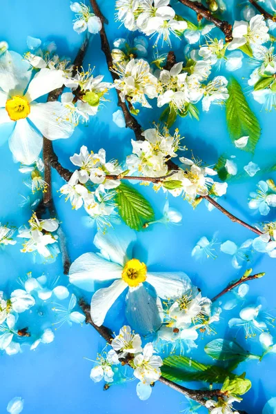 Zarte Weiße Und Rosa Blüten Mit Grünen Blättern Blauen Wasser — Stockfoto