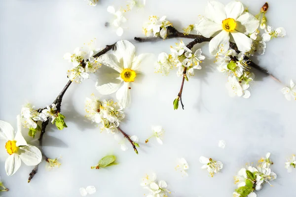 Zarte Weiße Und Rosa Blüten Mit Grünen Blättern Weißem Wasser — Stockfoto