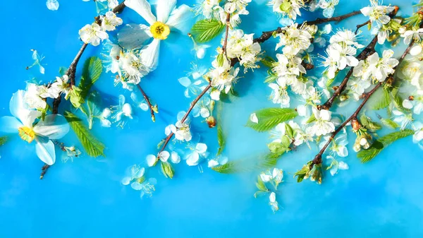 Zarte Weiße Und Rosa Blüten Mit Grünen Blättern Blauen Wasser — Stockfoto