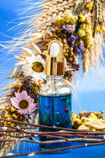 Glazen Druppelaar Met Een Druppel Cosmetische Olie Gedroogde Bloemen Blauwe — Stockfoto