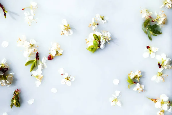 Zarte Weiße Und Rosa Blüten Mit Grünen Blättern Weißem Wasser — Stockfoto