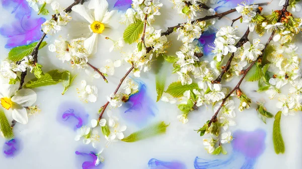 Zarte Weiße Und Rosa Blüten Mit Grünen Blättern Blauen Wasser — Stockfoto
