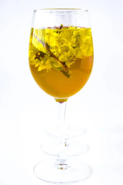 Κεράσι Βερίκοκο Άνοιξη Λουλούδια Ποτήρι Κρασιού Κίτρινο Νερό Λευκό Φόντο — Φωτογραφία Αρχείου
