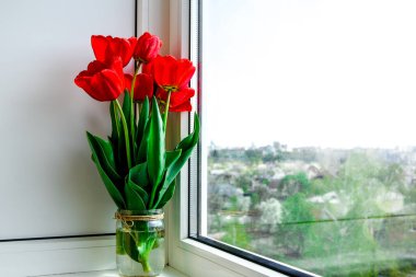 Vazodaki kırmızı laleler pencere eşiğinde parlak, kır tarzı, gün ışığında, Paskalya süslemesi için açık bir arka planda fotokopi alanı olan bir buket.,