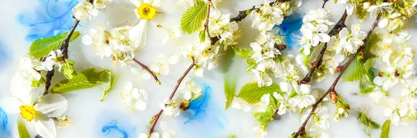 Zarte Weiße Und Rosa Blüten Mit Grünen Blättern Blauen Wasser — Stockfoto