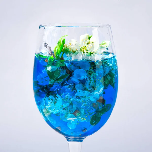 Κεράσι Βερίκοκο Άνοιξη Λουλούδια Ποτήρι Κρασιού Μπλε Νερό Λευκό Φόντο — Φωτογραφία Αρχείου
