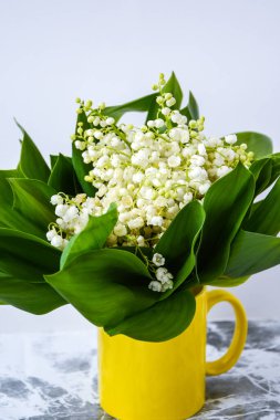 Sarı çay fincanındaki vadideki zambak demeti beyaz bir masada fotokopi alanı ile. Tatil geçmişi kavramı, evde bahar mevsimi