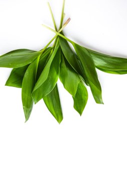 Vadi 'nin Lily' si beyaz arkaplanda yeşil yapraklar ve metin ve bahar zamanı için kopya alanı