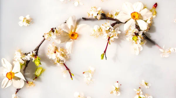 Zarte Weiße Und Rosa Blüten Mit Grünen Blättern Weißem Wasser — Stockfoto