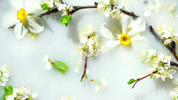 Zarte Weiße Und Rosa Blüten Mit Grünen Blättern Weißem Wasser — Stockfoto