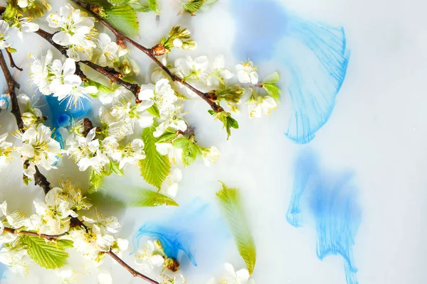 Zarte Weiße Und Rosa Blüten Mit Grünen Blättern Blauen Wasser — Stockfoto