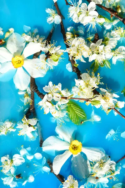 Zarte Weiße Und Rosa Blüten Mit Grünen Blättern Blauen Wasser — Stockfoto