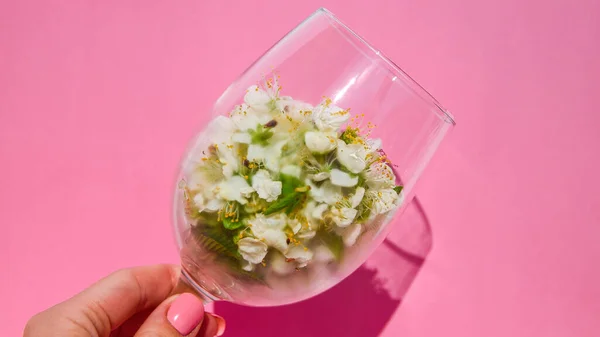 Conceito Humor Primavera Mão Feminina Segurando Flores Brancas Vidro Transparente — Fotografia de Stock