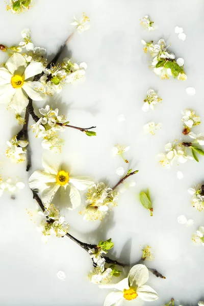 Zarte Weiße Und Rosa Blüten Mit Grünen Blättern Weißem Wasser — Stockfoto