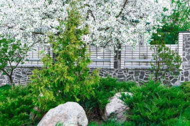 Yeşil çimenlik, manzara balosu, ön bahçe güzel tasarlanmış bahçe, bahar zamanı ev bahçesi ve çit.