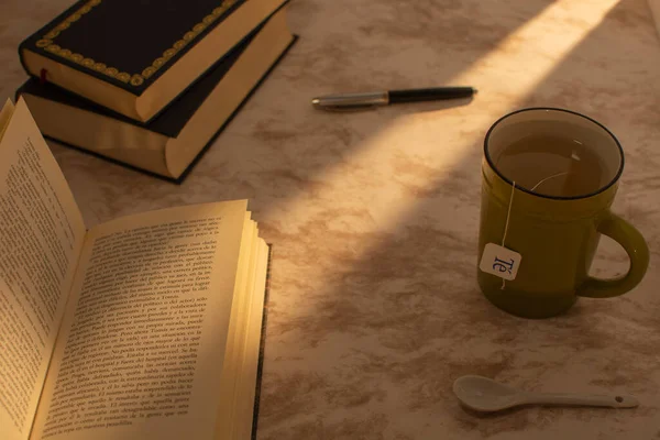 Taza Con Algunos Libros Lado Una Fuente Pluma Atardecer — Foto de Stock
