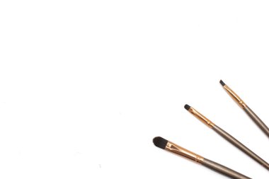 Brochas de maquillaje acomodadas de manera estetica sobre un fondo blanco