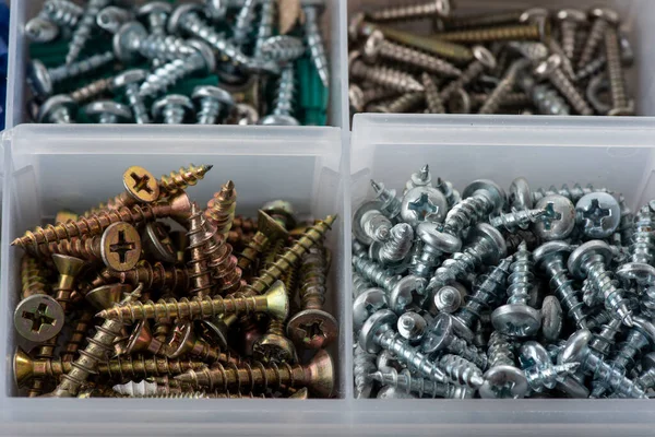 Approach Screw Box Screws Dowels Different Sizes Measures — Foto de Stock