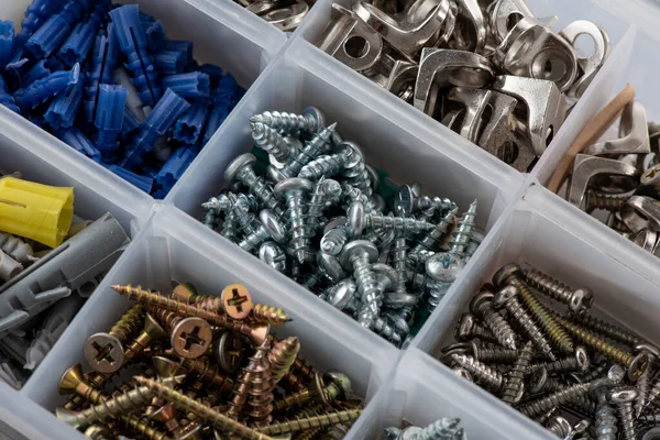 Approach Screw Box Screws Dowels Different Sizes Measures — Stock Photo, Image