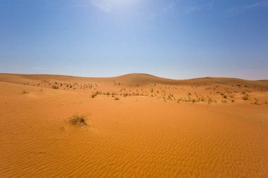 Kırmızı çöl Al Hatta, Dubai, Birleşik Arap Emirlikleri