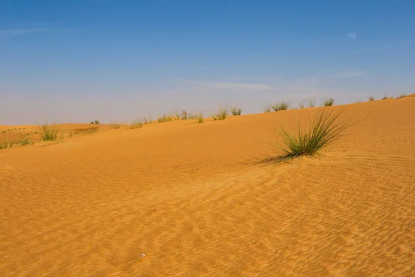 Červená pustina Al Hatta, Dubaj, Spojené arabské emiráty — Stock fotografie