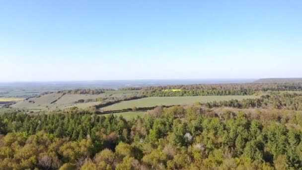 Drohne Fliegt Über Oxfordshire Wald — Stockvideo