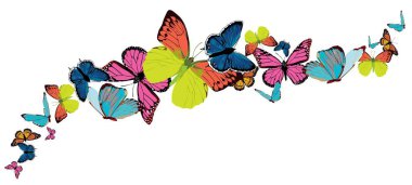 parlak renkli kelebekler ile yazdırma