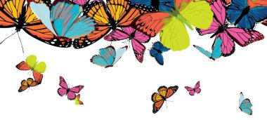 parlak renkli kelebekler ile yazdırma