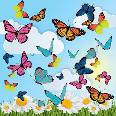 kelebekler, papatyalar, çim ile arka plan