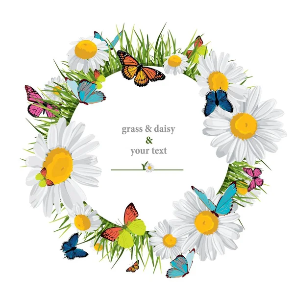 Background Butterflies Daisies Grass — Stock Vector