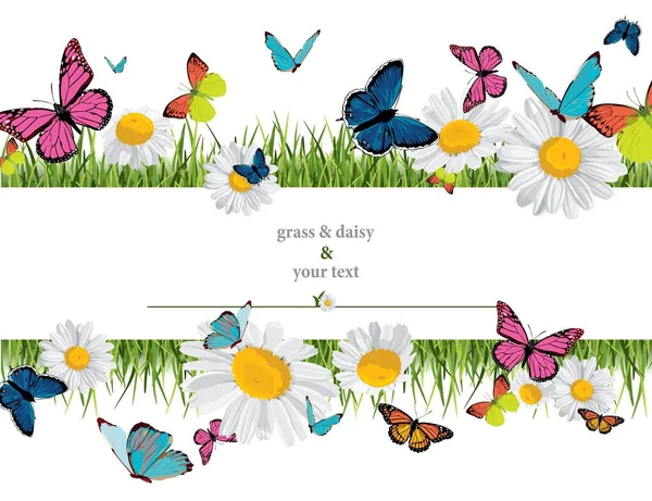 Background Butterflies Daisies Grass — Stock Vector