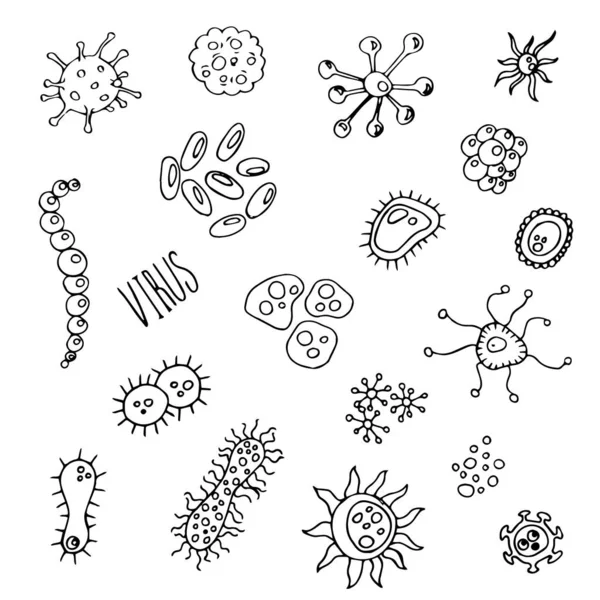Beyaz Üzerine Virüsler Bakteriler — Stok Vektör